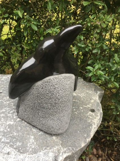 pingvin, granitskulptur